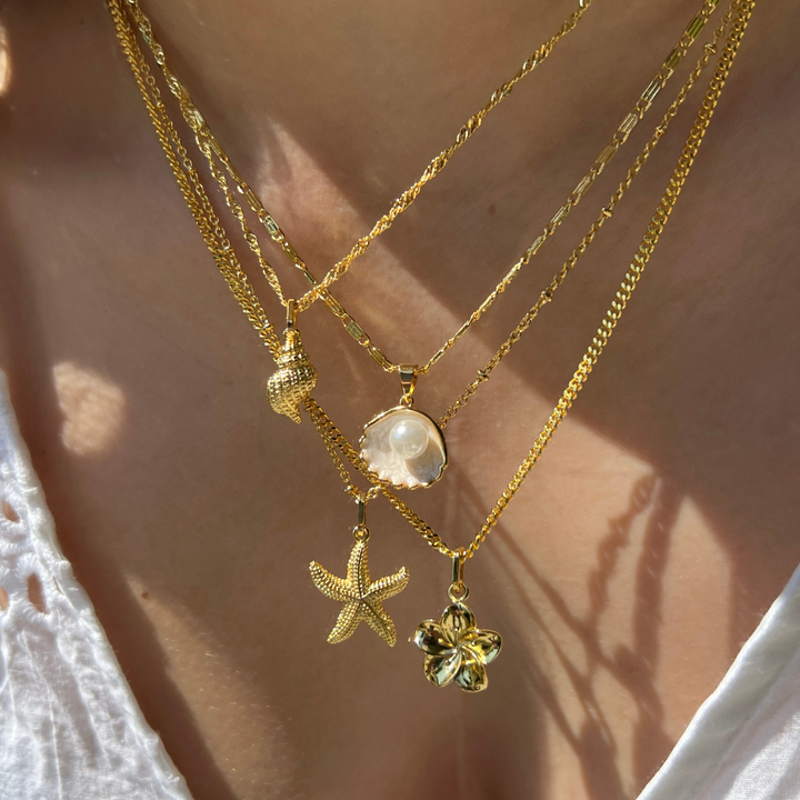 Shell Design Jewelry