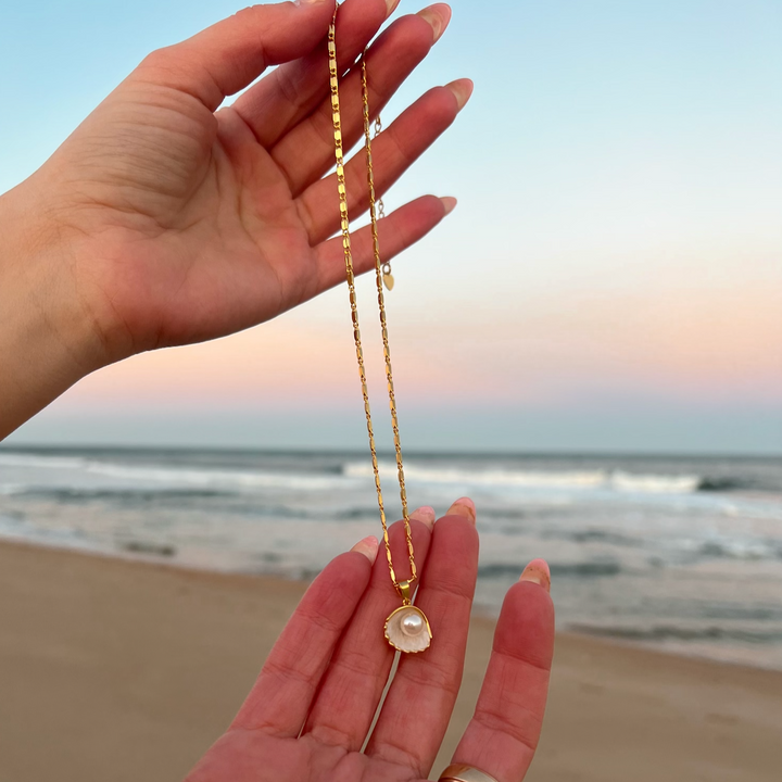 Shell Design Jewelry
