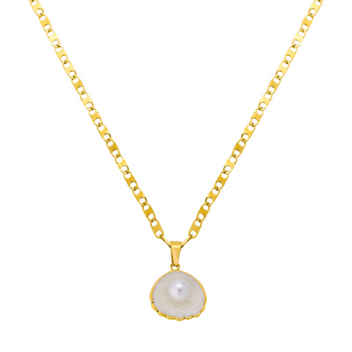 Shell Design Jewelry