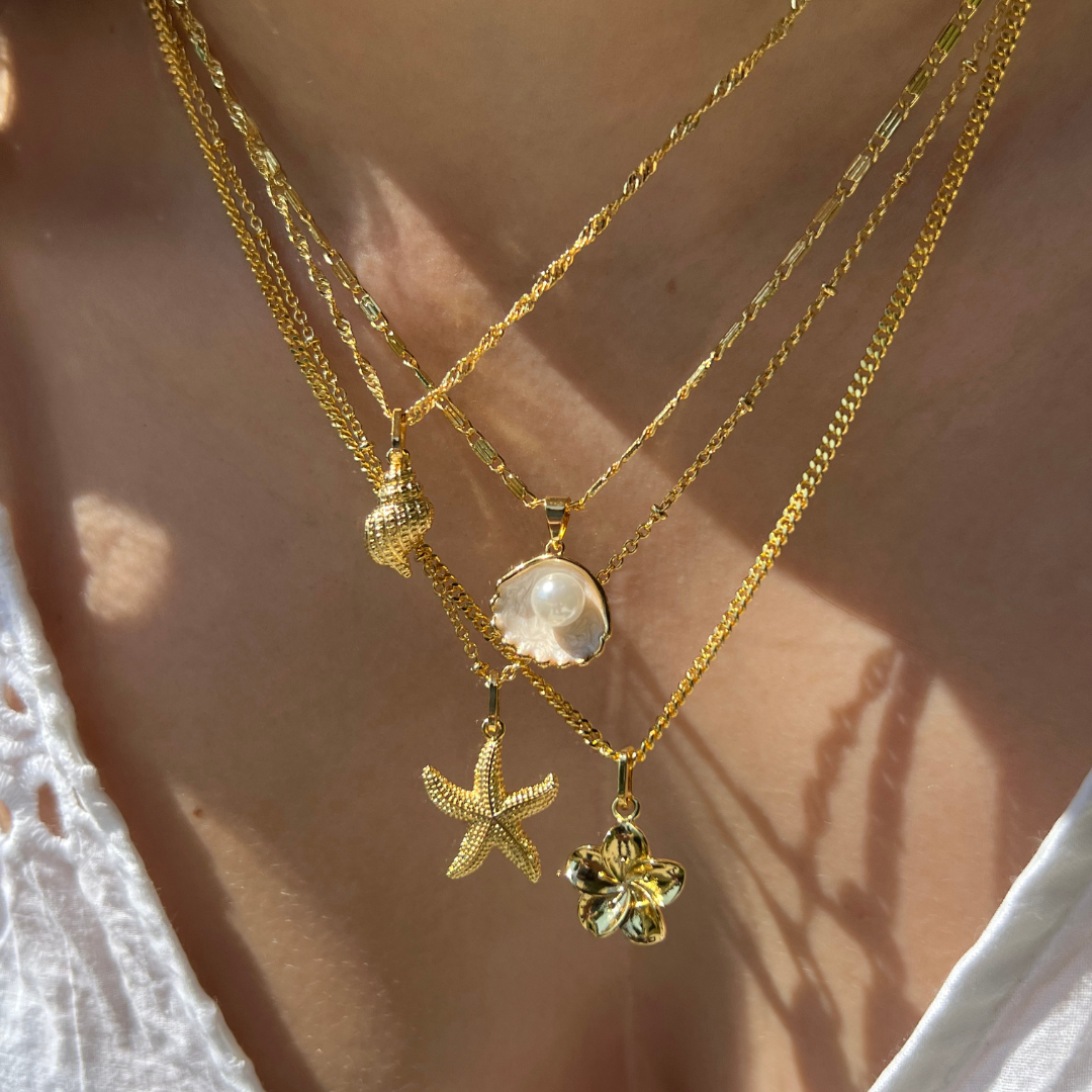 Shell Design Jewelry